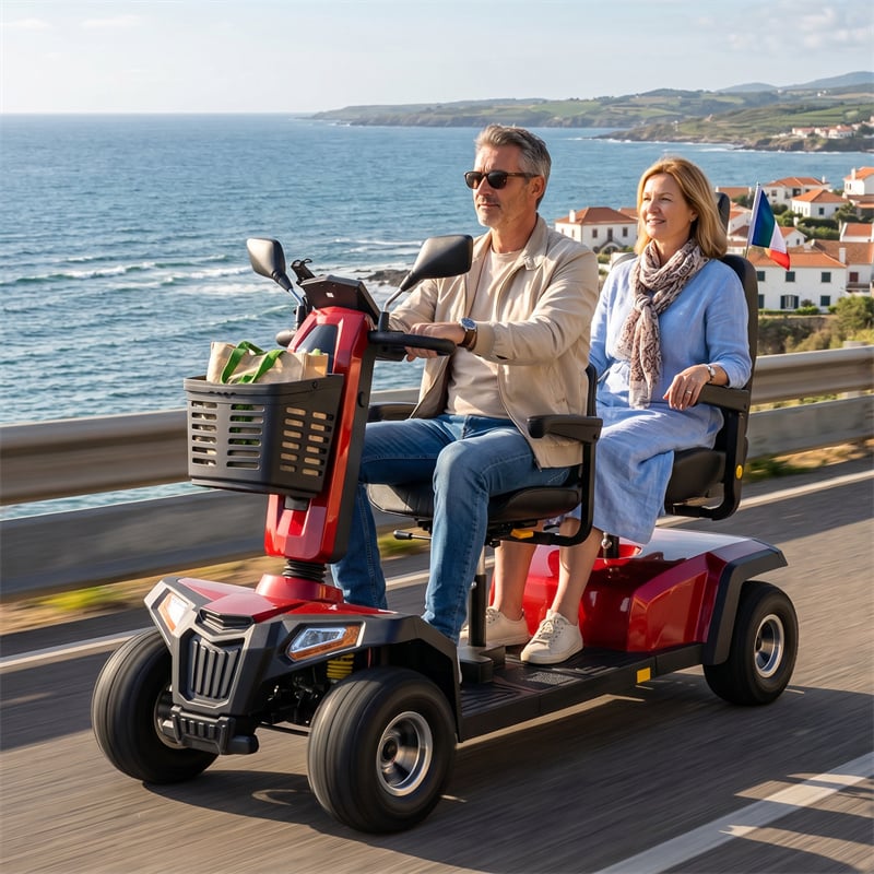 L10 Two Person Electric Mobility Scooter 1400W 75Ah Range 60km
